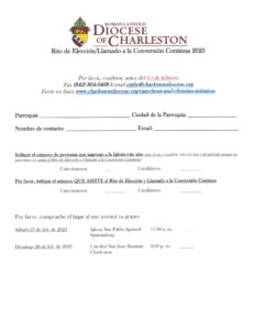 ROE 2023 Response Form Spanish